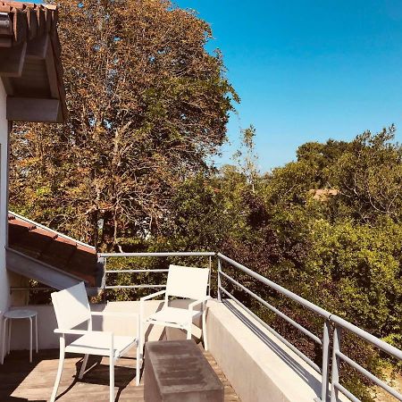 Hotel La Villa Saint-Pierre-dʼIrube Eksteriør billede